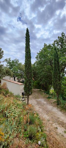 maison dans un écrin de chênes provençale
